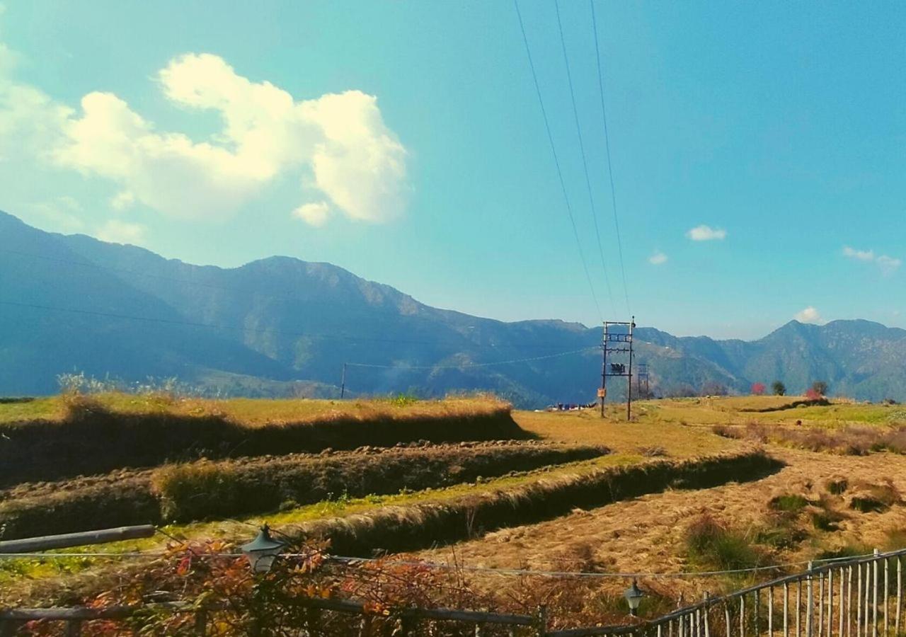 Bamboo Junction Resort - Kanatal, Valley & Mountain View Dhanaulti Esterno foto